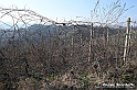VBS_1147 - Santo Stefano Roero